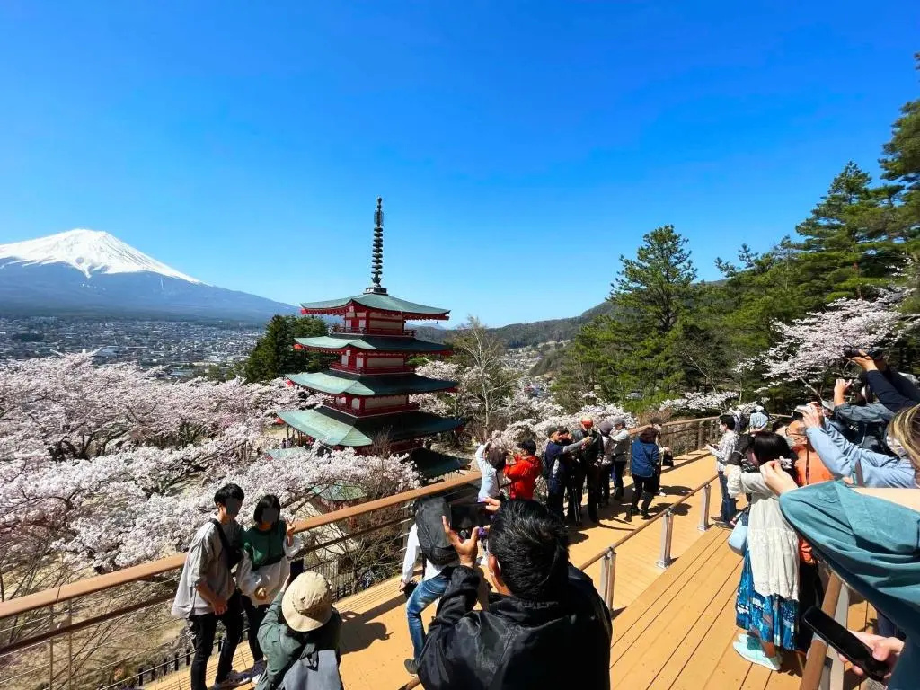 Foto - Fujisan-Kingyo