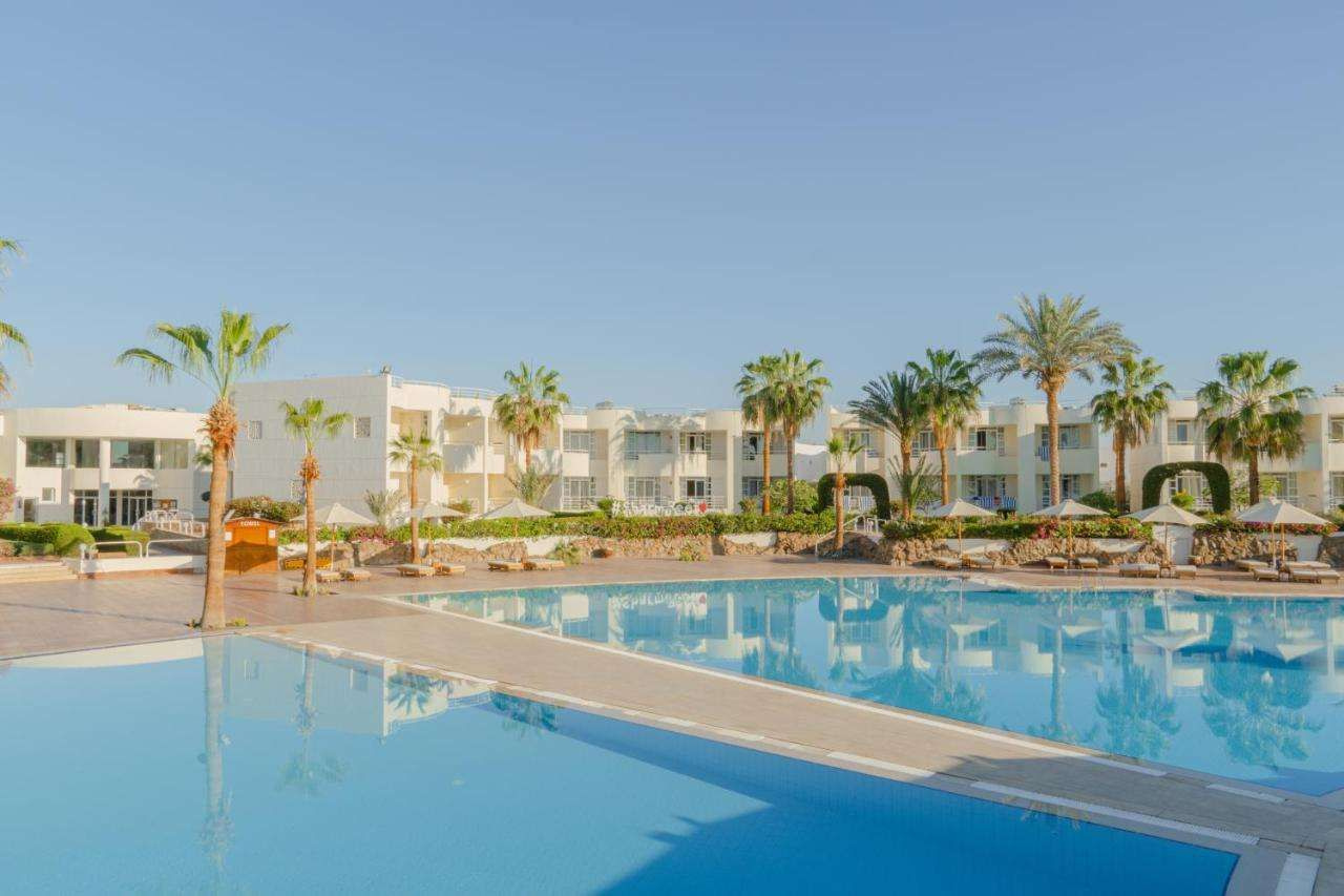 Foto - Sharm Reef Hotel