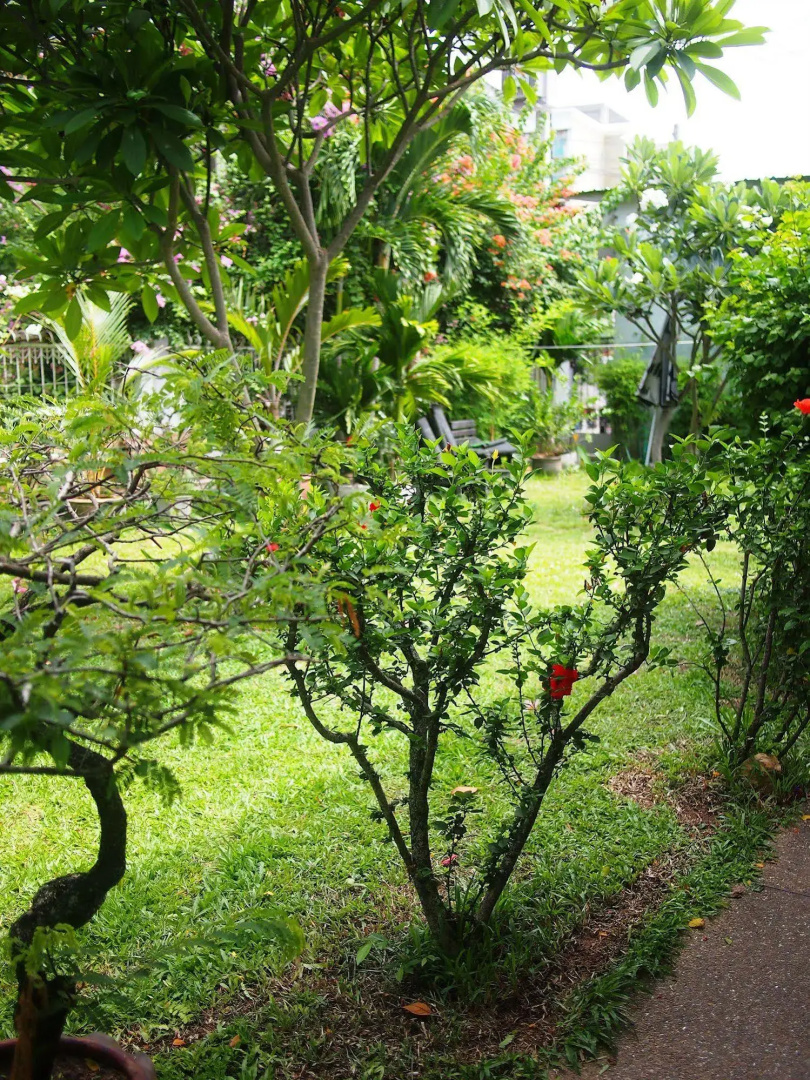 Foto - Wong Amat House