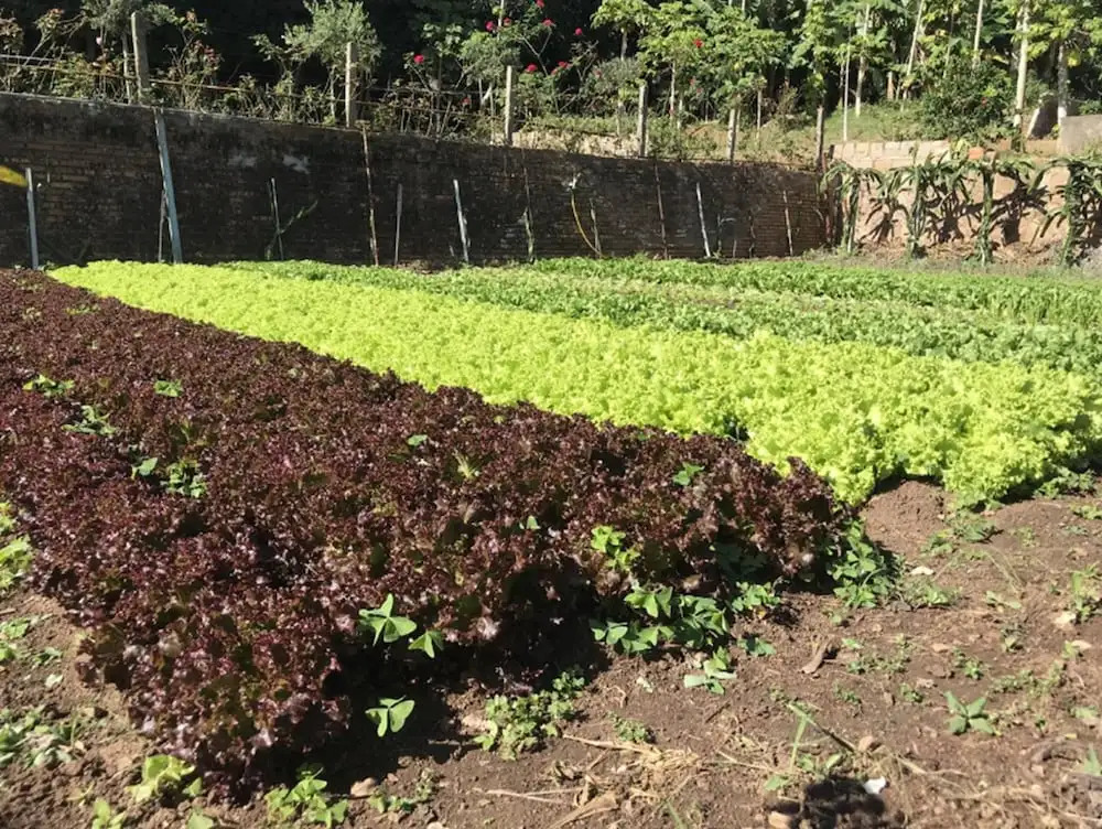 Photo - Hotel Pousada São Lourenço