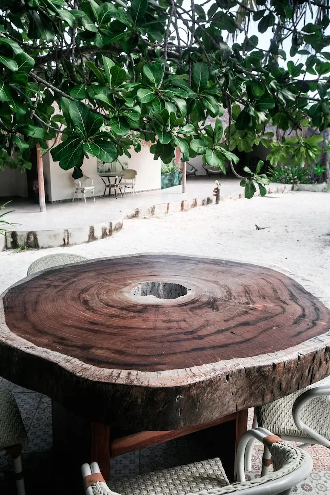 Foto - Hotel Paradise Suites