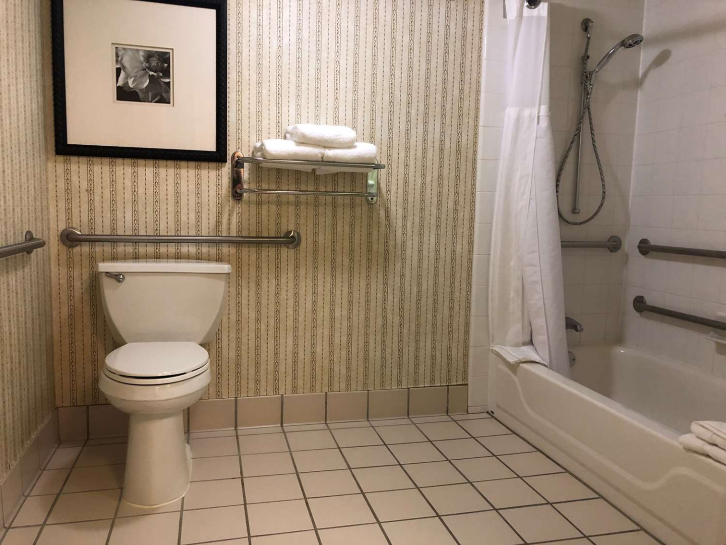 Foto - Hilton Garden Inn Addison