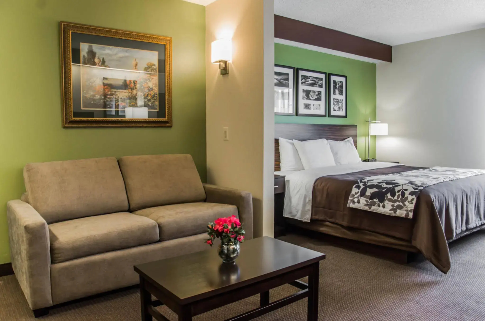 Foto - Sleep Inn Matthews-Charlotte