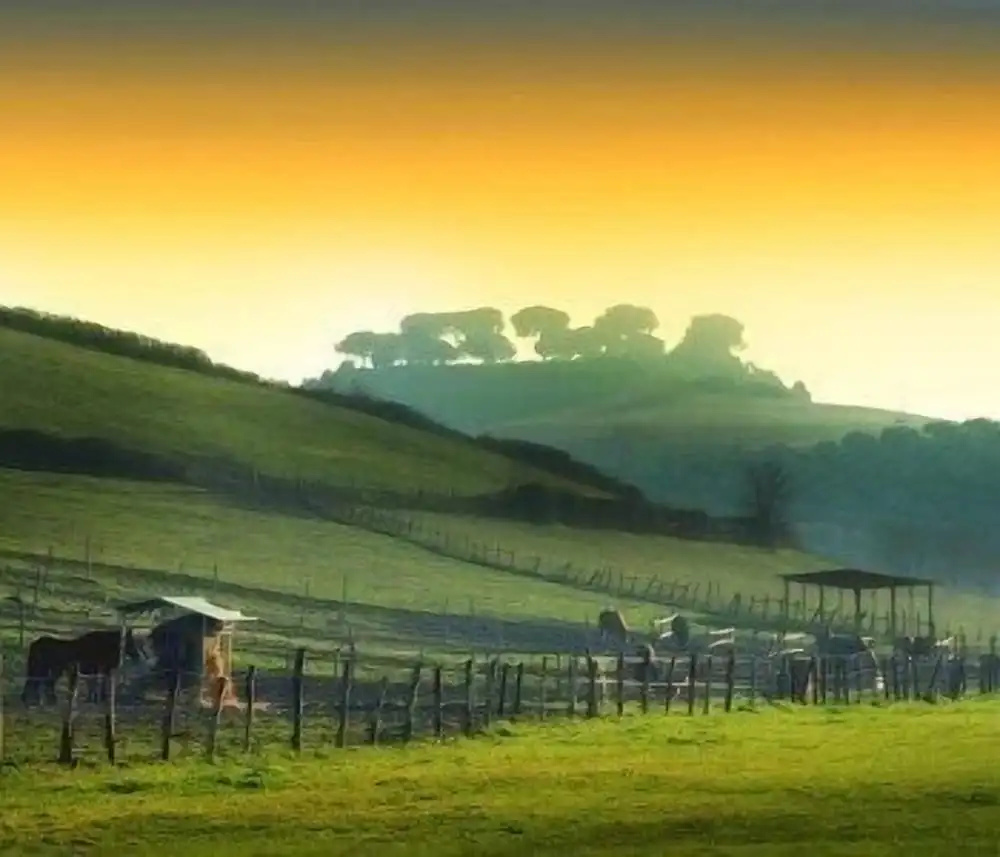 Foto - Tenuta Agricola Fonte Di Papa