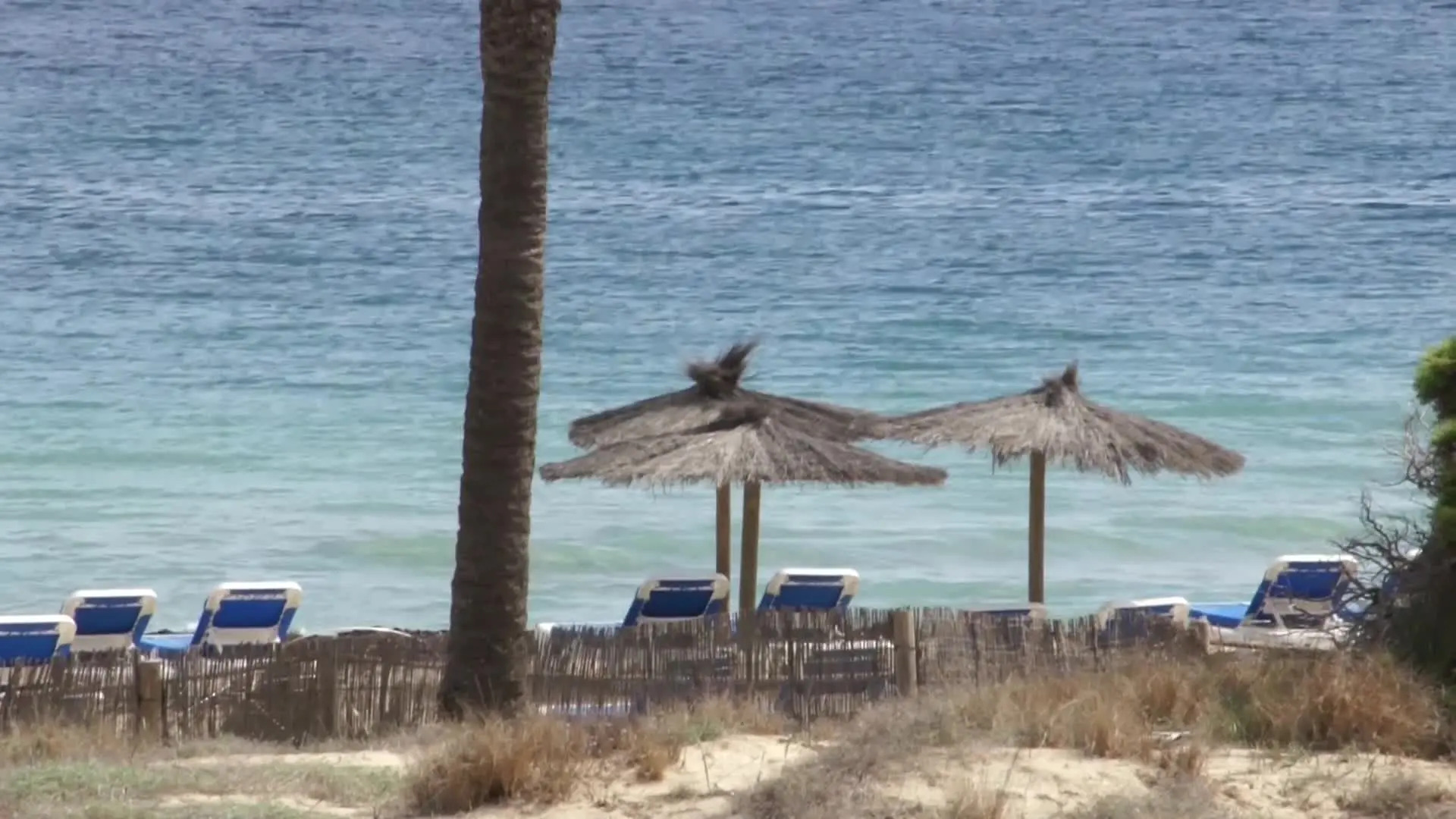 Foto - Grand Palladium White Island Resort & Spa - All Inclusive