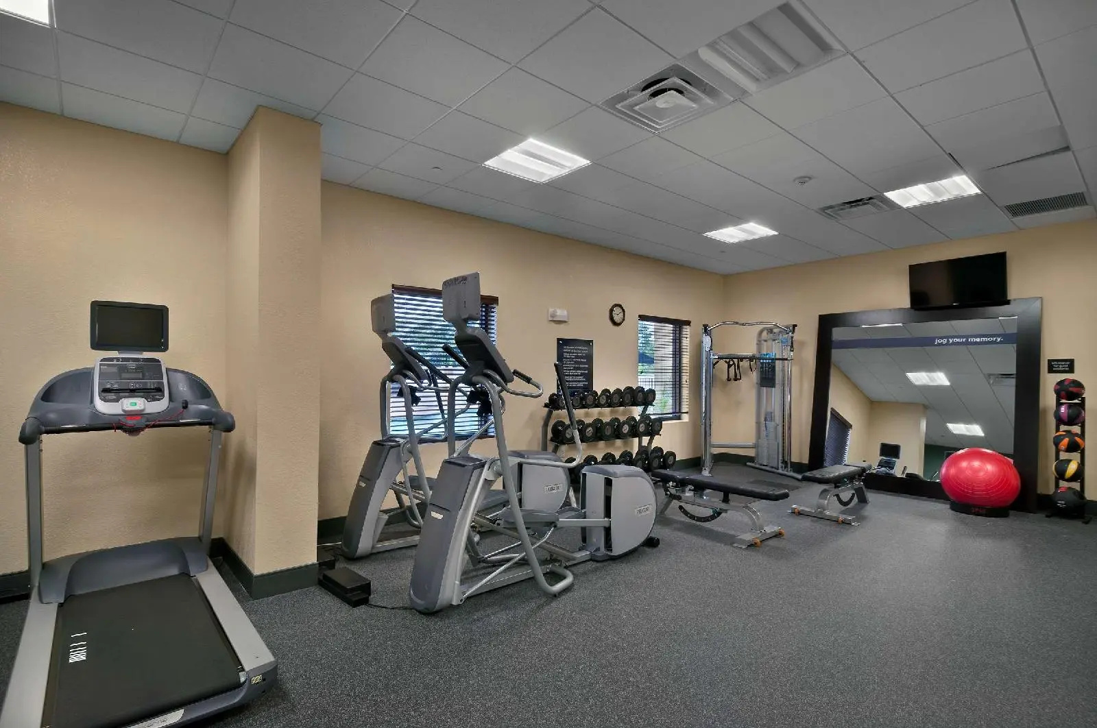 Foto - Hampton Inn & Suites Tampa Northwest/Oldsmar