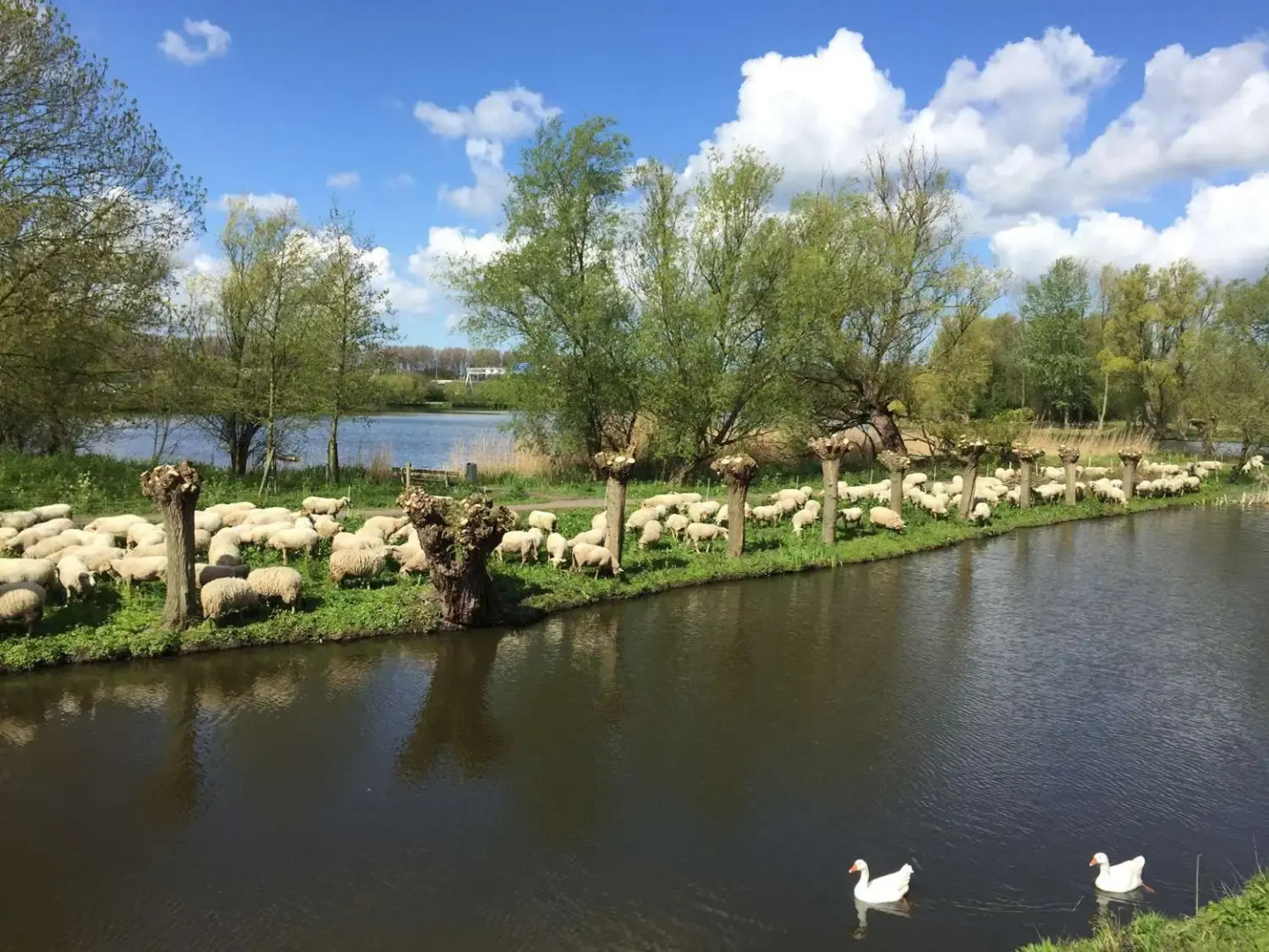 Photo - Amrâth Airport Hotel Rotterdam
