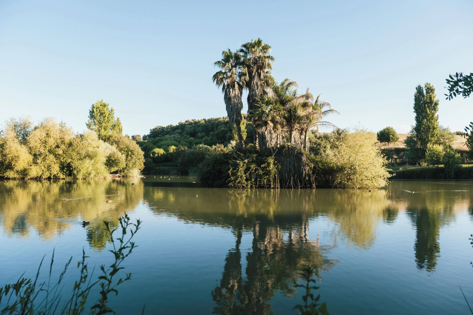 Foto - Parque dos Monges