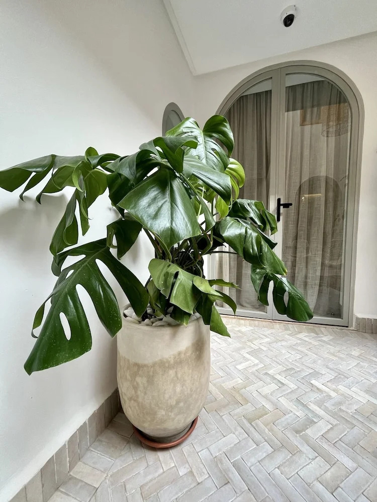 Foto - Riad Dar Bayane