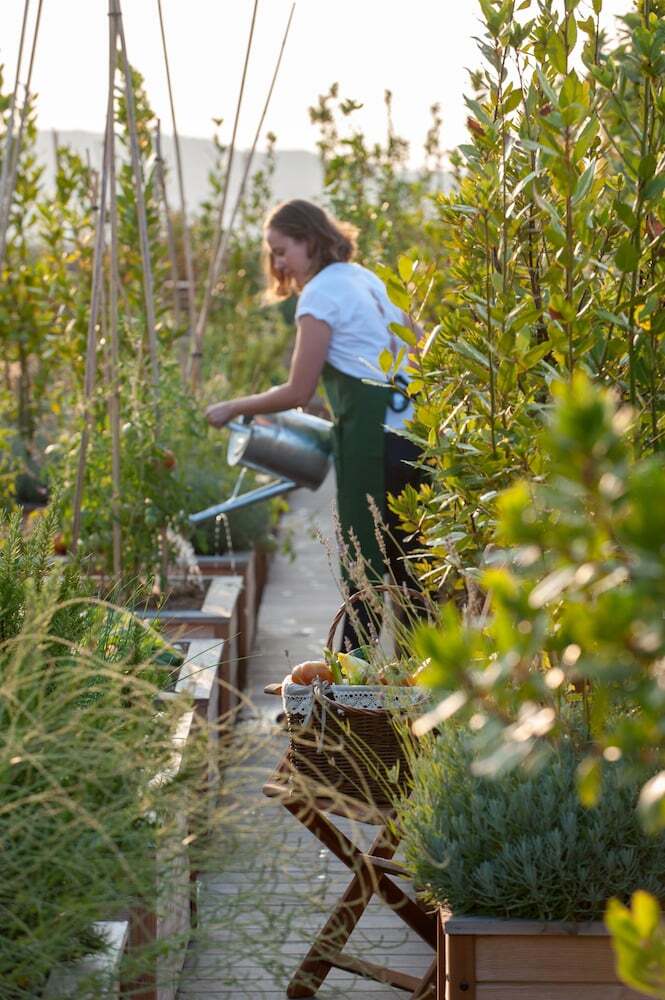 Foto - Brach Paris - Evok Collection