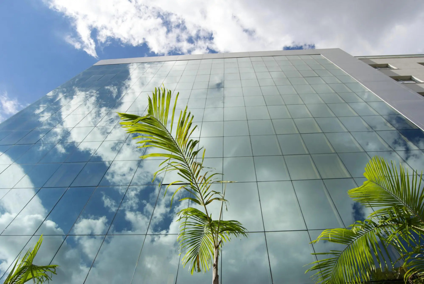 Foto - Itapoã Executive Hotel