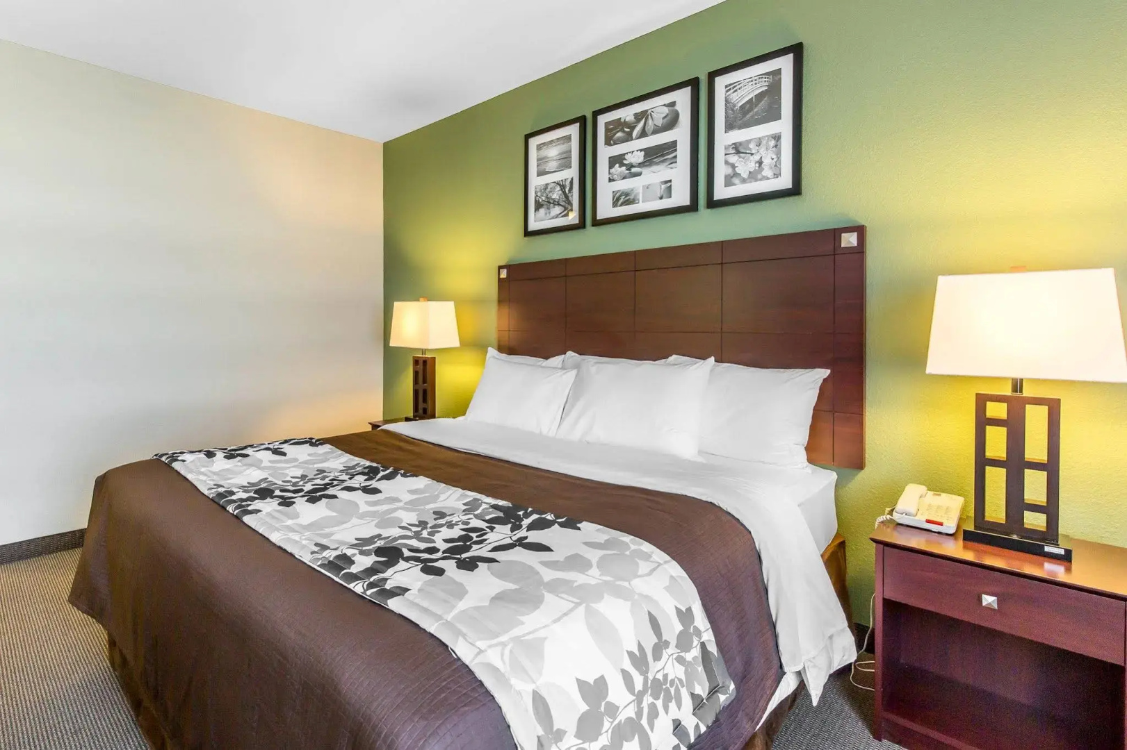 Foto - Sleep Inn & Suites Bush Intercontinental - IAH East