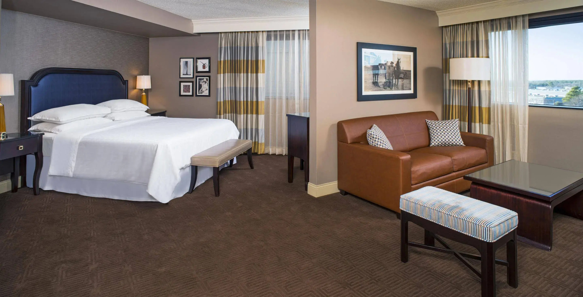 Foto - Sheraton North Houston at George Bush Intercontinental