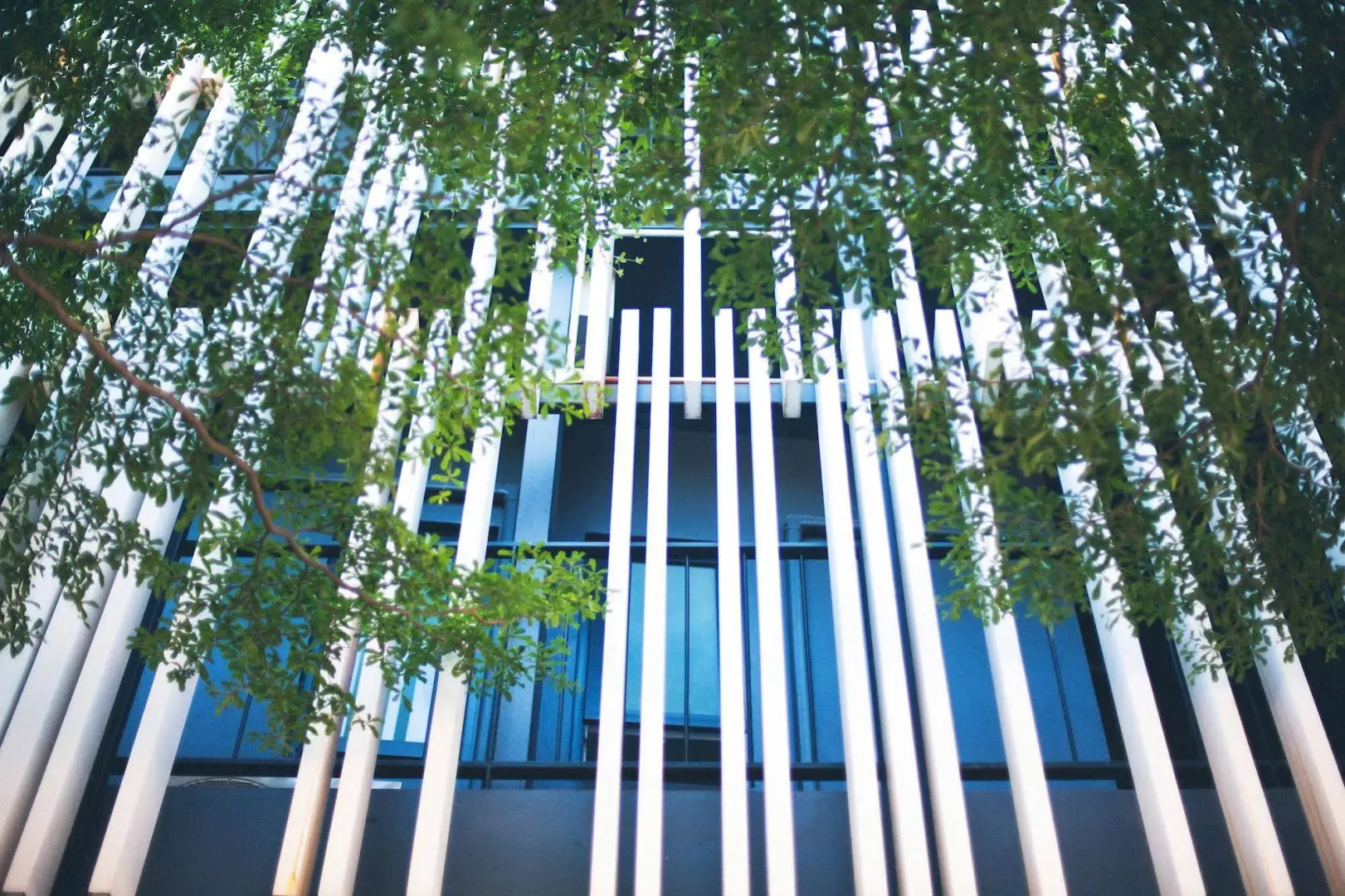 Foto - Blu Monkey Bed & Breakfast Phuket