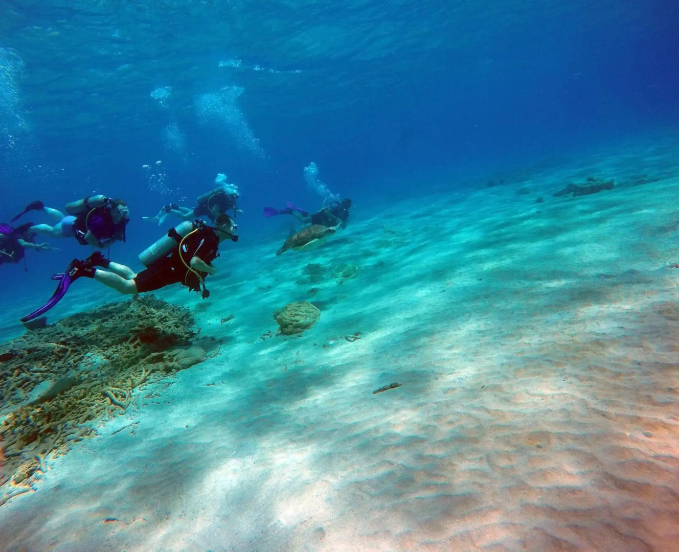 Foto - Rancho el Sobrino