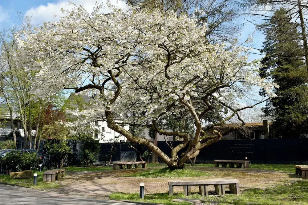 Photo - TIBET HOTEL am Airport Düsseldorf-Ratingen