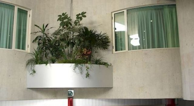 Photo - Hotel Scala Magna