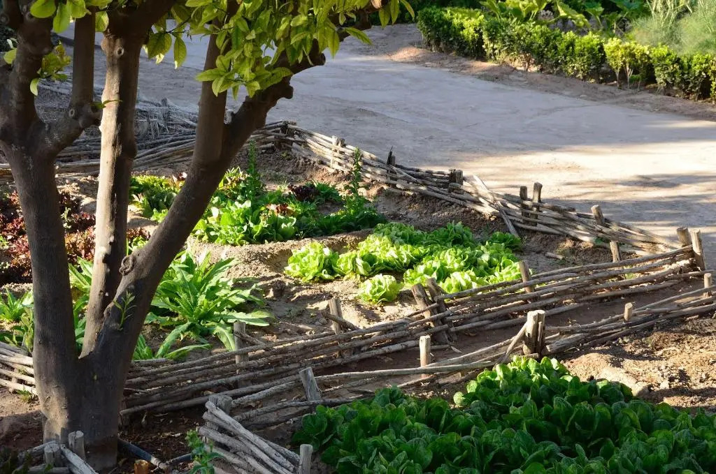 Foto - Ksar Char-Bagh Small Luxury Hotels