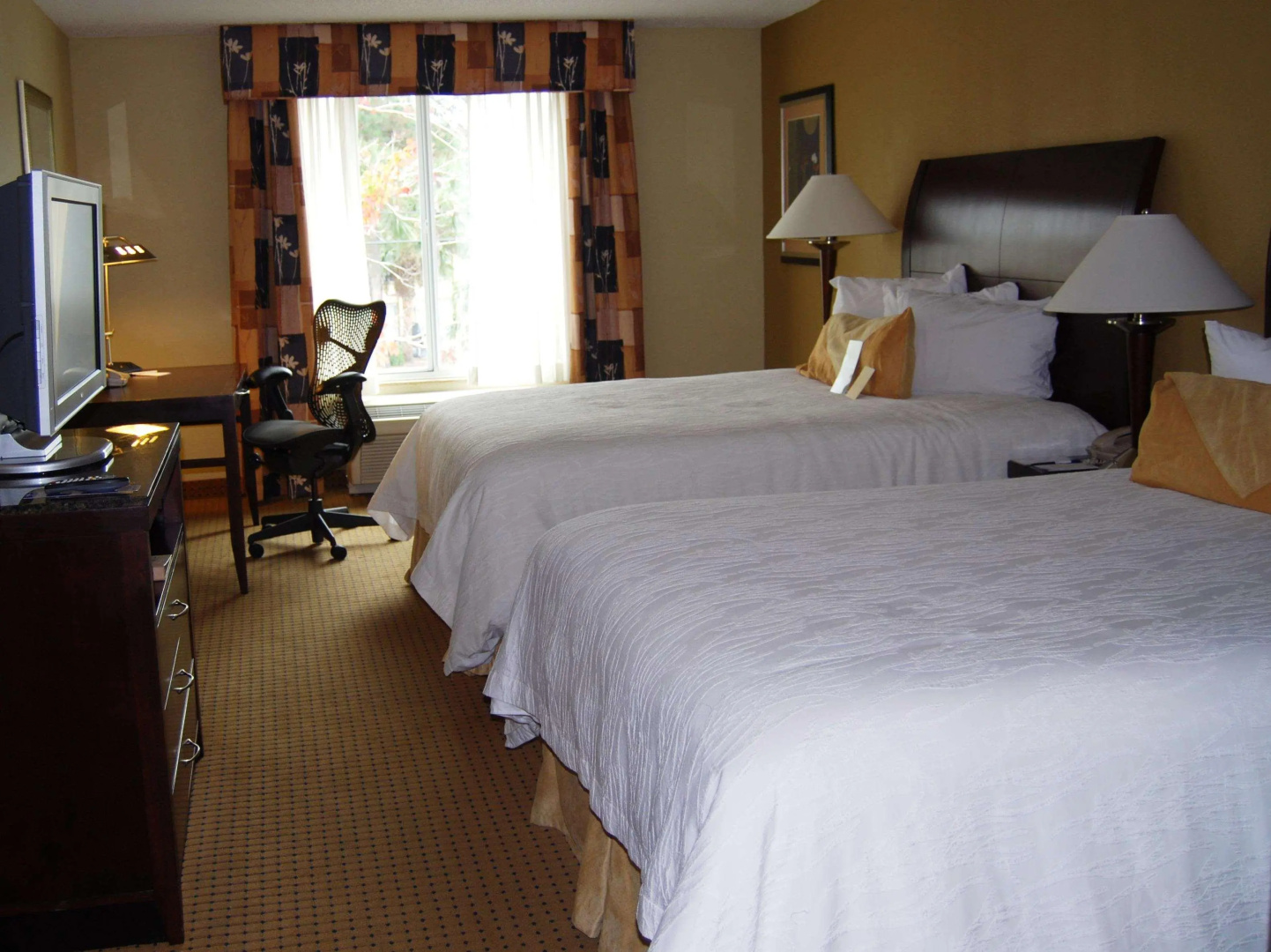 Foto - Hilton Garden Inn Jacksonville Orange Park
