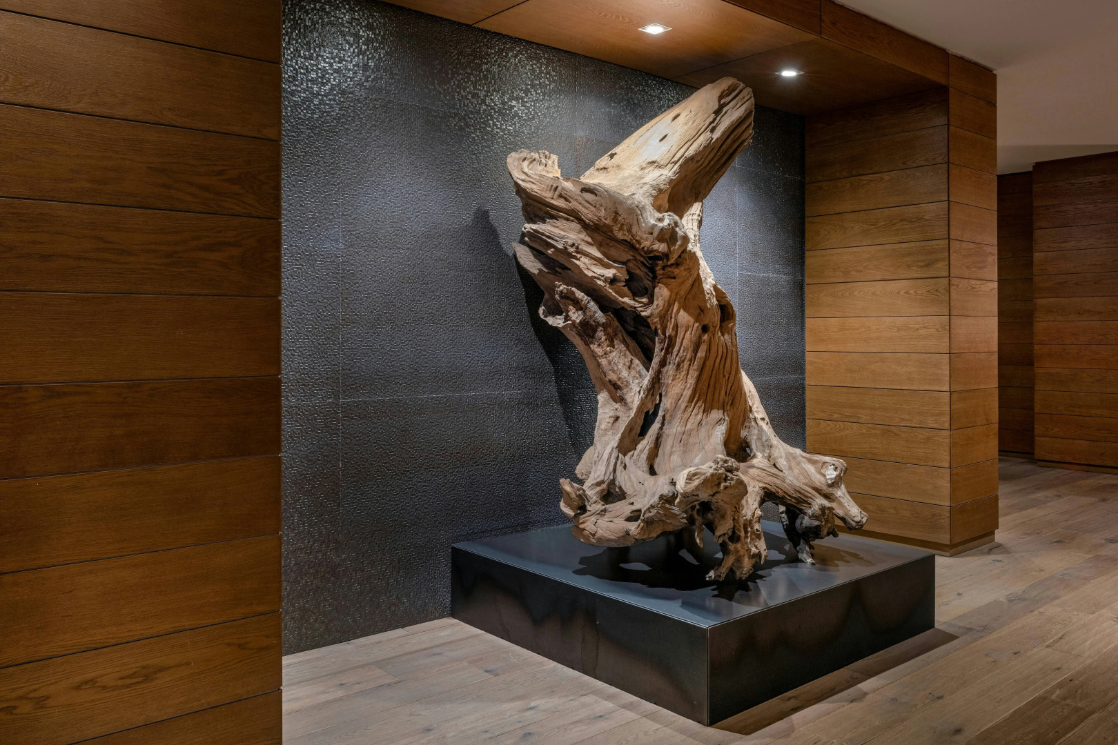 Foto - Hotel AC Baqueira Ski Resort, Autograph Collection