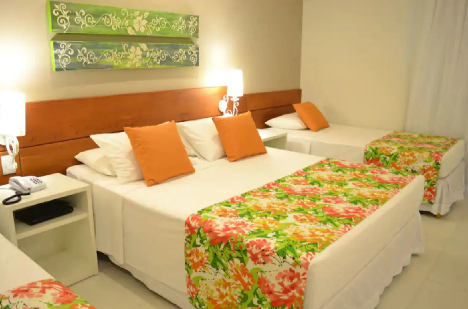 Foto - Corais e Conchas