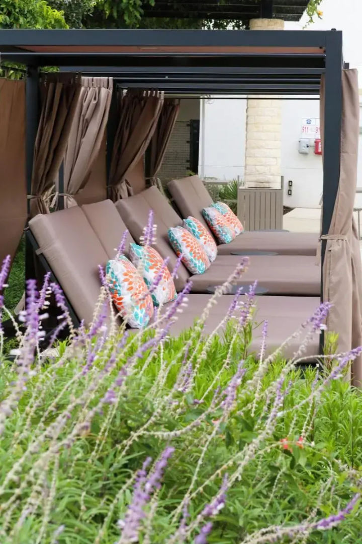 Foto - The Westin Austin at The Domain