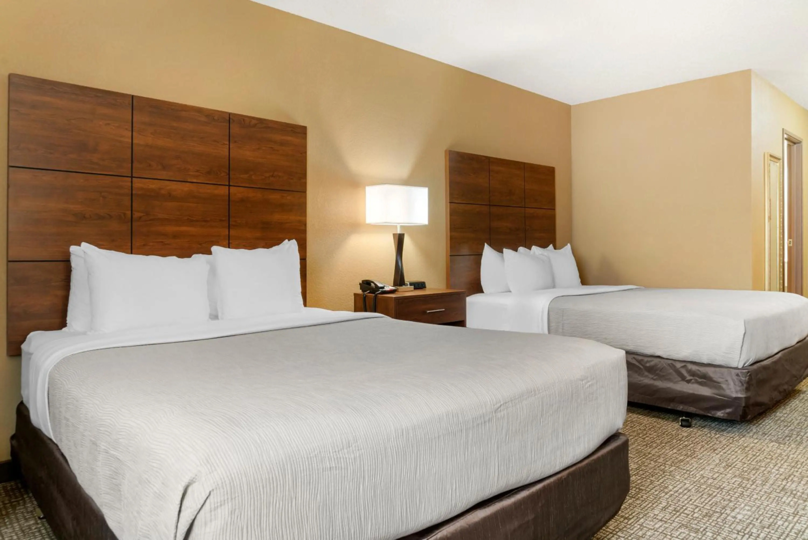 Foto - SpringHill Suites Irvine John Wayne Airport/Orange County