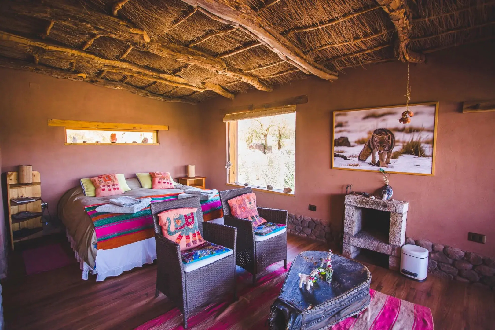 Photo - Eco-Lodge El Andinista