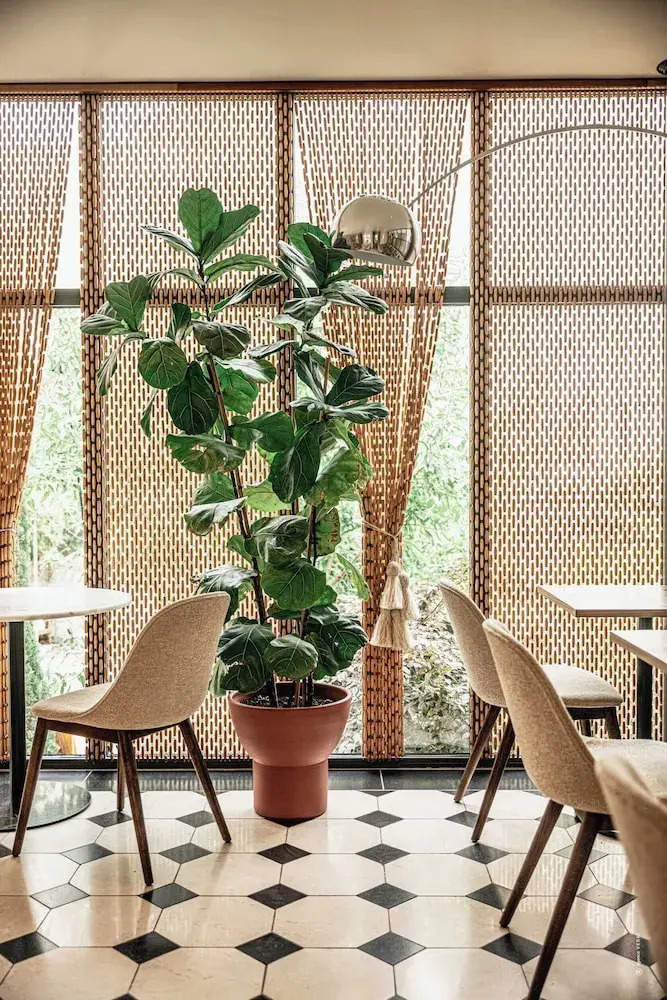 Foto - Hôtel Le Mosaïque