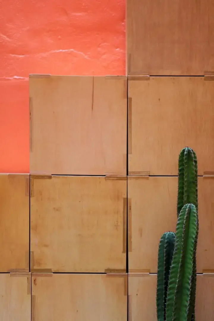 Photo - MoMo's Kuala Lumpur