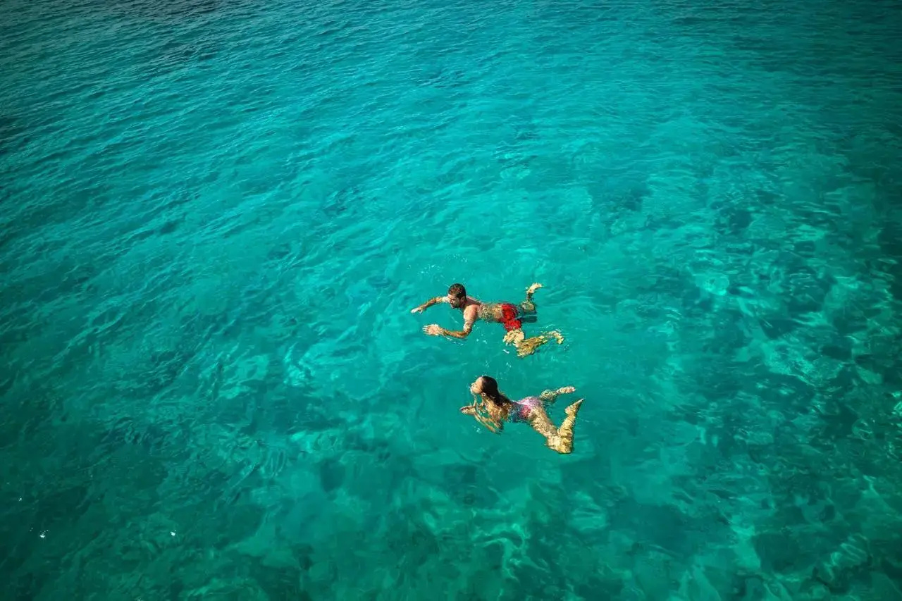 Photo - Aminess Liburna Hotel