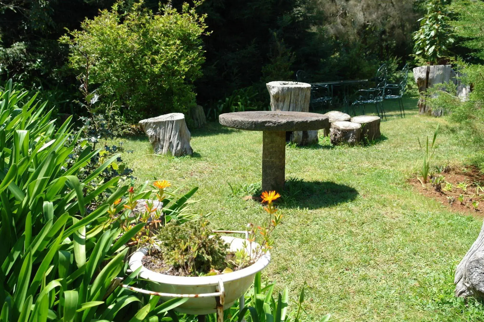 Foto - Quinta Santo Antonio Da Serra