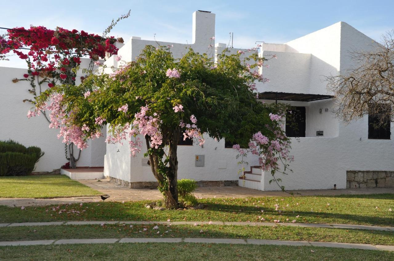 Foto - Pedras d'el Rei