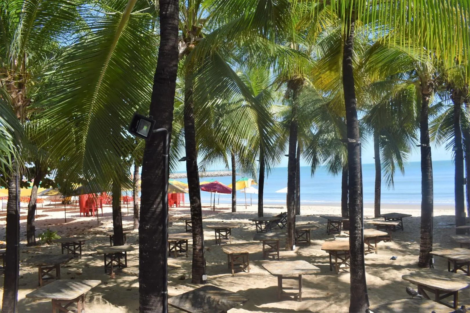 Foto - Hotel Praia Mar