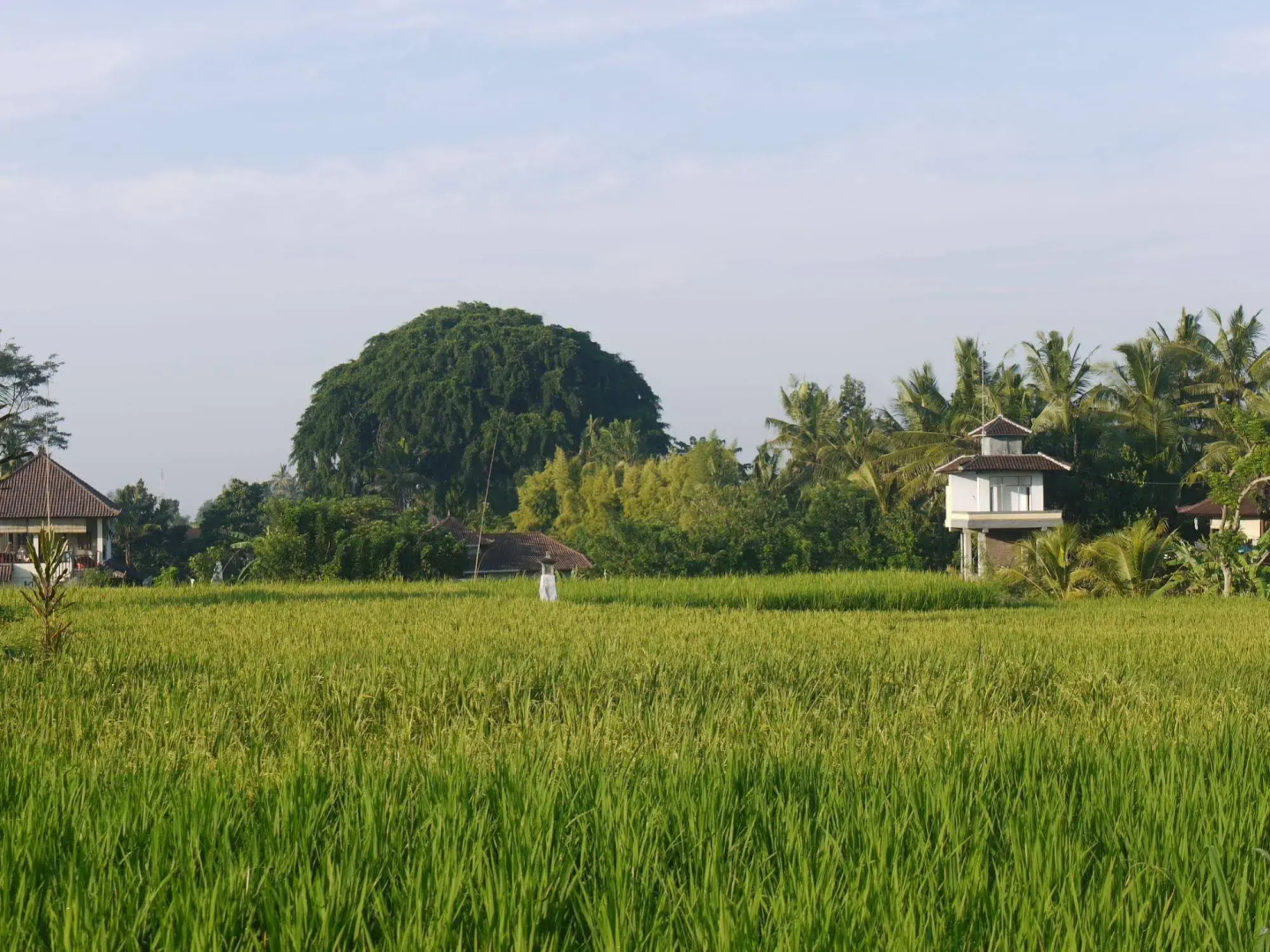 Foto - Rumah Dadong