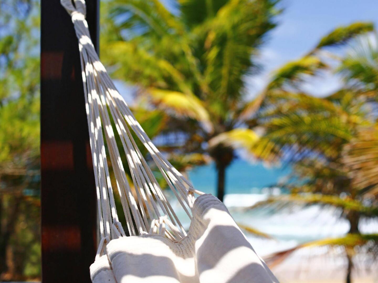 Foto - Pousada Ecoporto