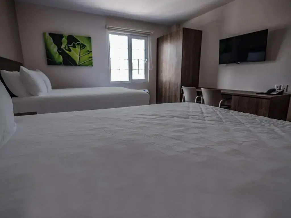 Foto - Extended Suites Queretaro Juriquilla
