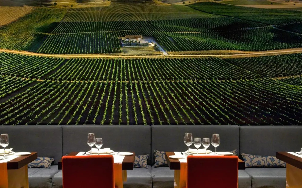 Foto - Vincci Frontaura