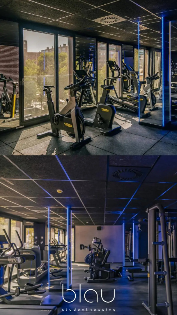 Photo - BLAU Student Housing - Students Only