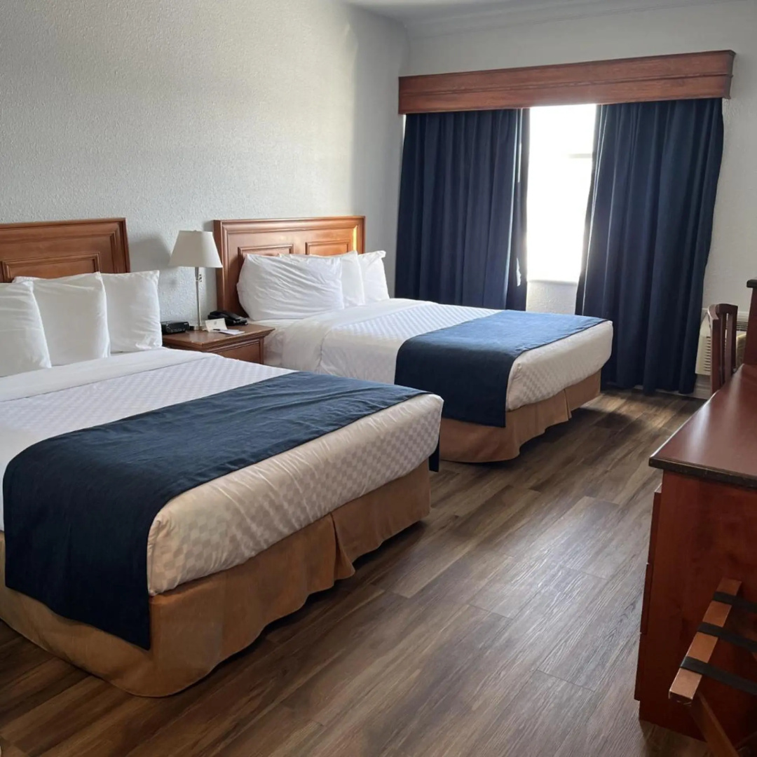 Foto - Hotel L'Oie des neiges