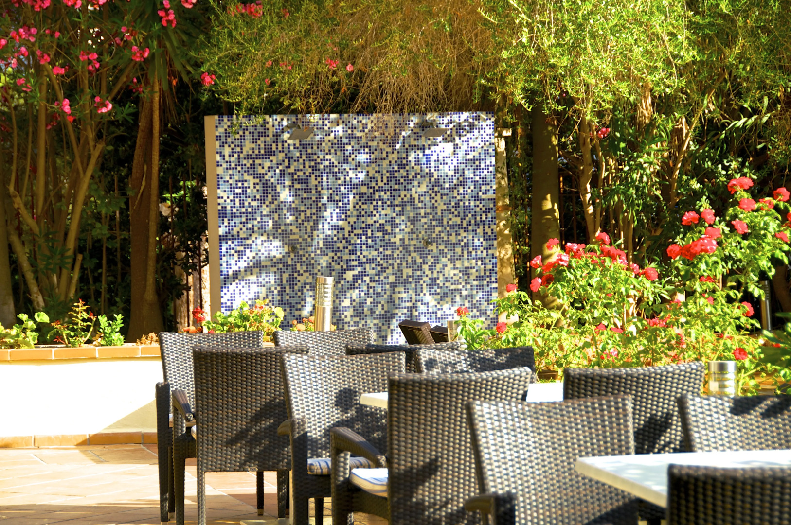 Photo - Ipanema Park