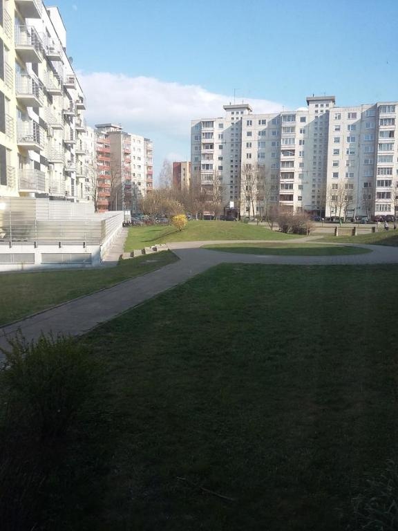 Dviejų kambarių butas