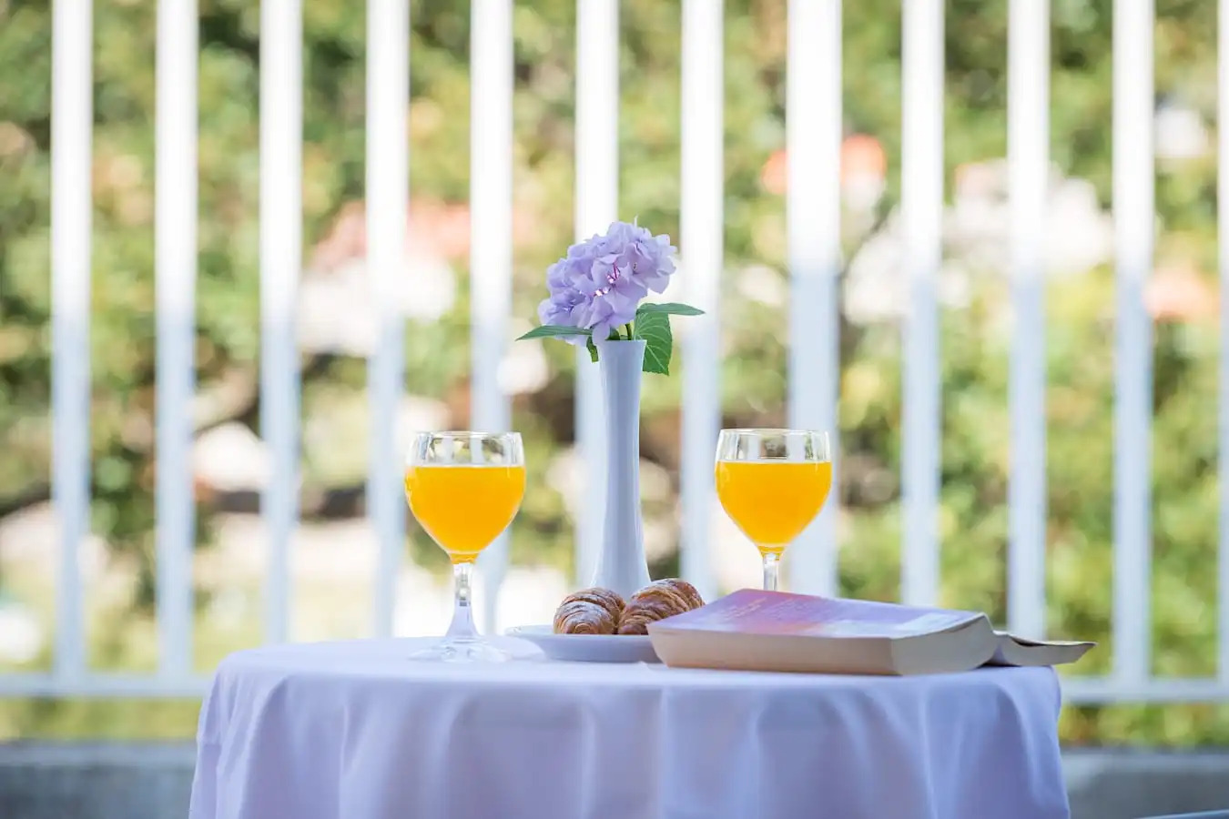 Foto - Hotel Komodor