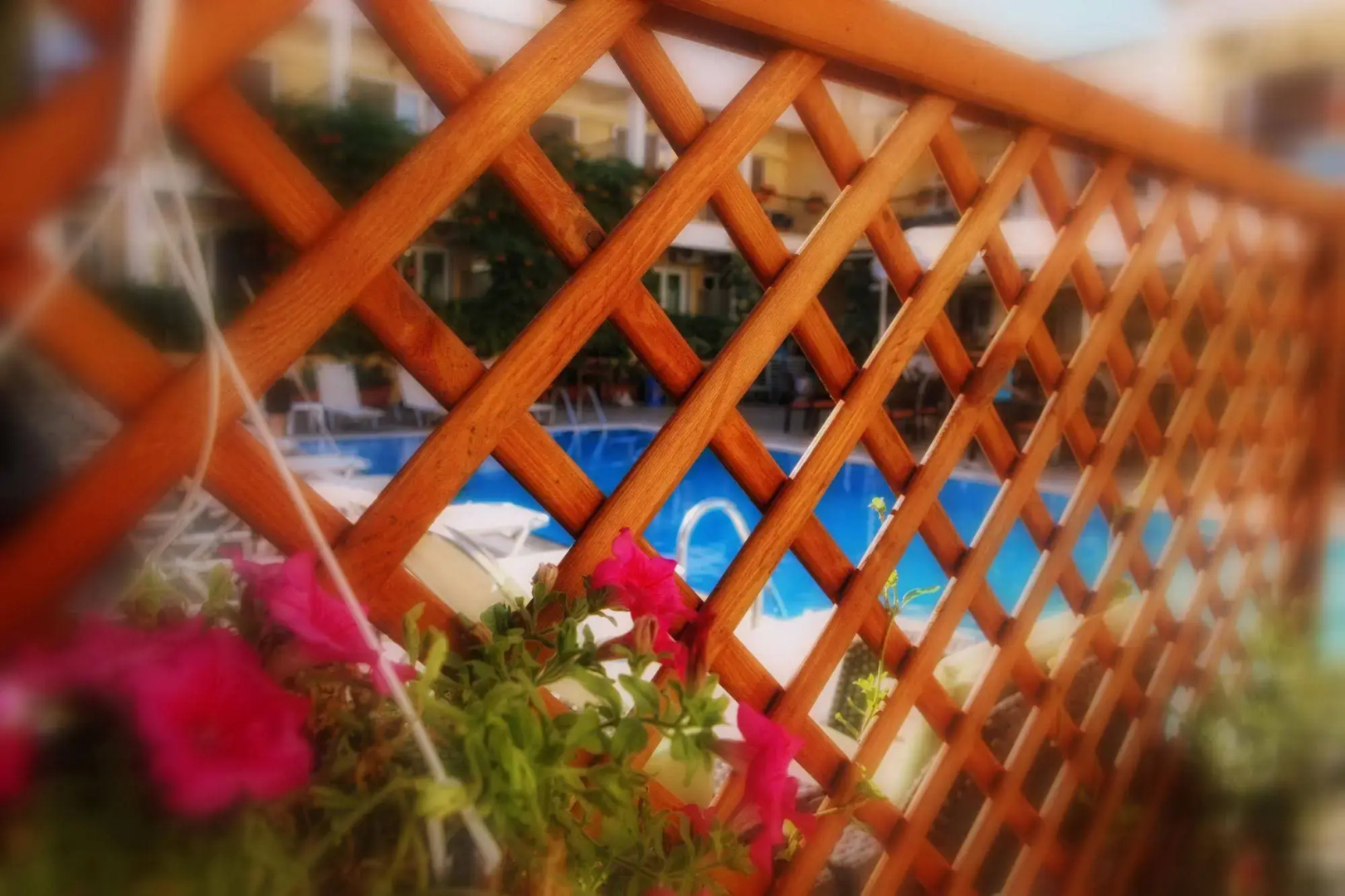 Foto - Telesilla Hotel