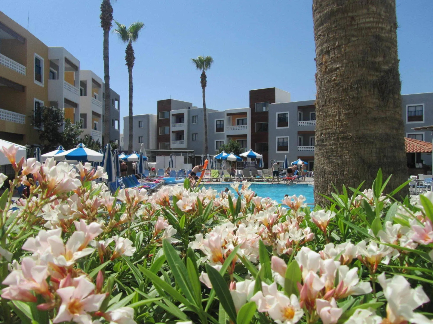 Foto - Kefalos Damon Hotel Apartments
