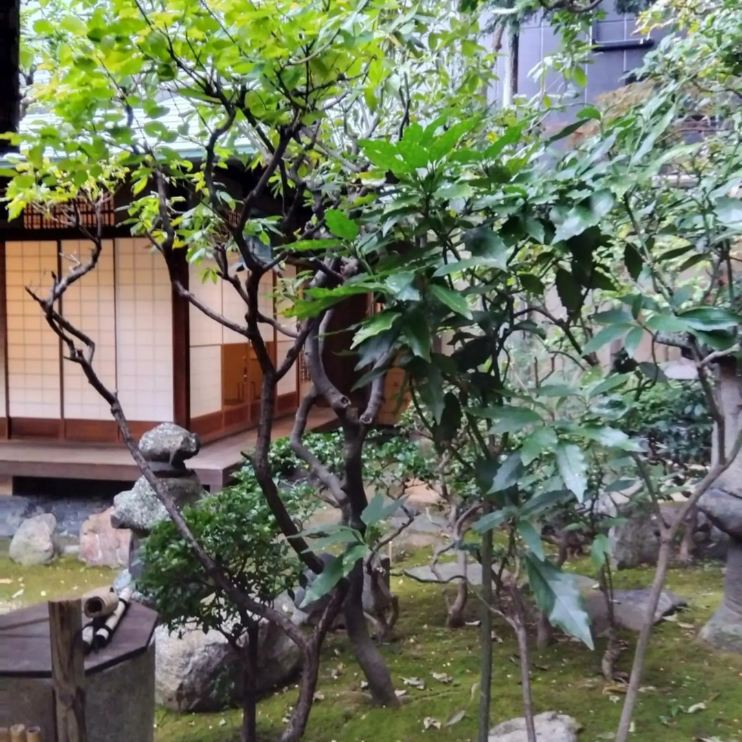 Photo - Ryokan Nissho-besso