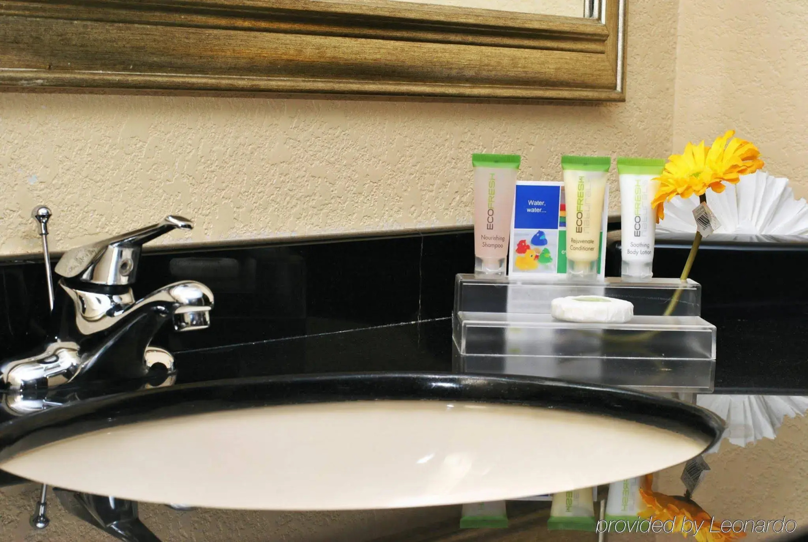 Photo - Atrium Hotel and Suites DFW Airport South