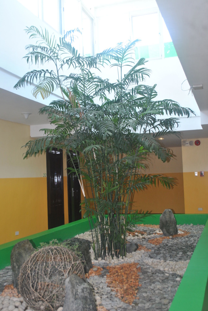 Foto - Go Hotels Tacloban