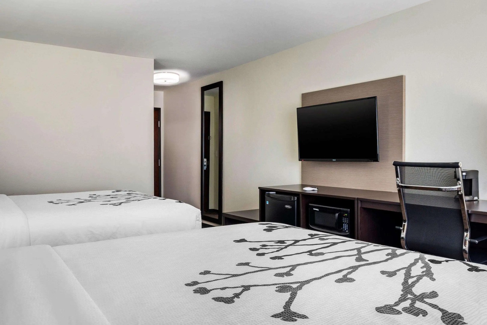 Foto - Sleep Inn & Suites near Westchase