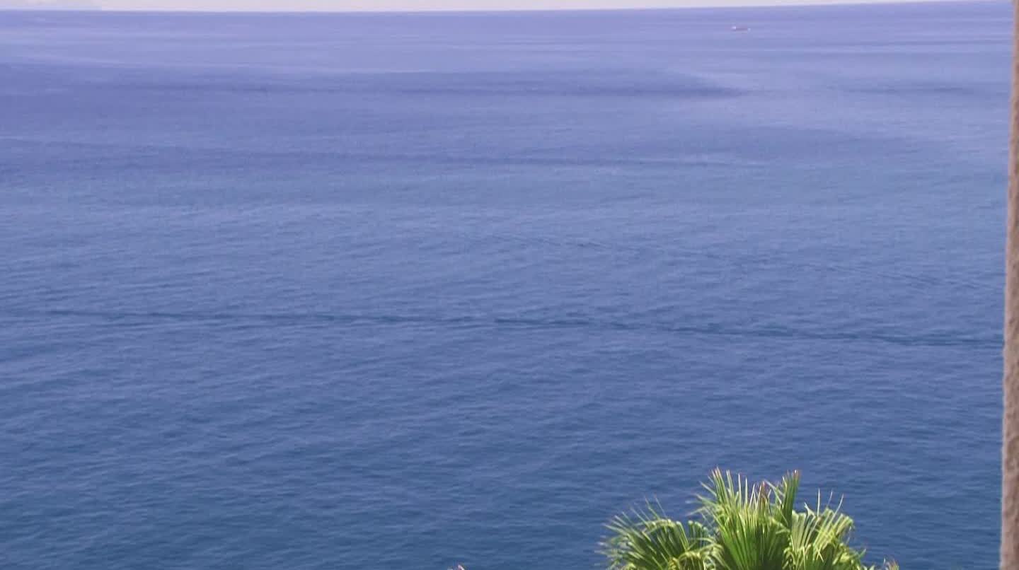 Foto - The Cliff Bay - PortoBay